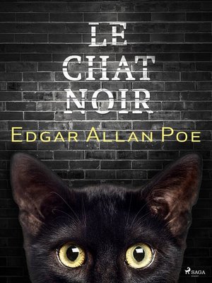 cover image of Le Chat noir